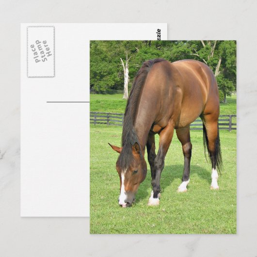 Mooie baai briefkaart (Voorkant / Achterkant)