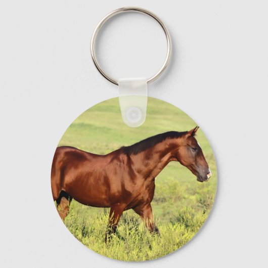Mooie baardmerrie sleutelhanger (Voorkant)