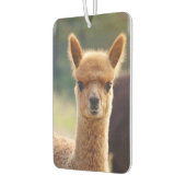 Mooie Baby Alpaca luchtverfrisser (Links)