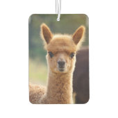 Mooie Baby Alpaca luchtverfrisser (Achterkant)