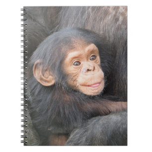Mooie baby chimpansee foto notitieboek