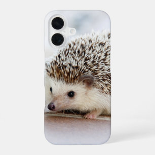 Mooie baby egel foto iPhone 16 hoesje
