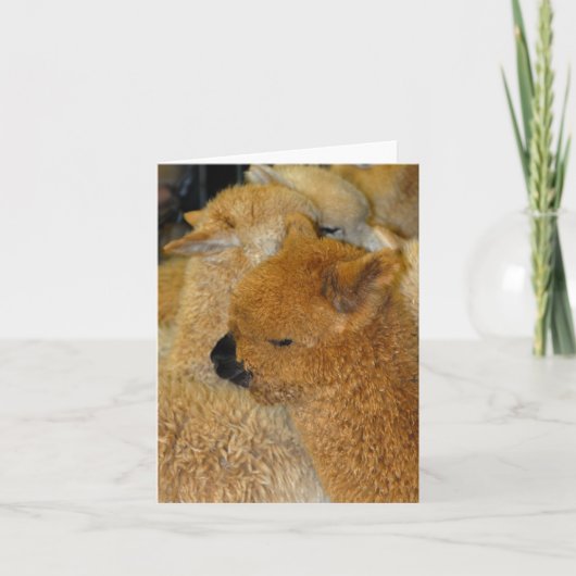 Mooie baby kaart (Voorkant)