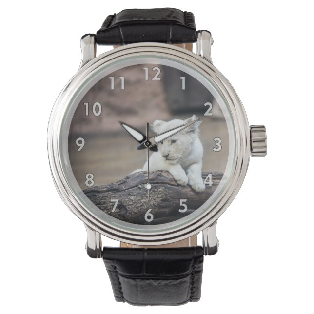 Mooie Baby White Lion Cub Horloge (Voorkant)