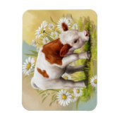 Mooie babykoe in een veld met madeliefjes bloemen magneet (Verticaal)