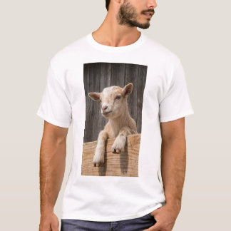 Mooie babyschapen landelijke boerderij fotografie t-shirt