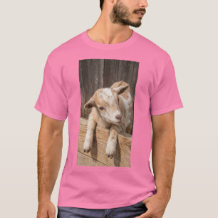 Mooie babyschapen Rustieke boerderijfotografie op T-shirt