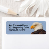 Mooie Bald Eagle Bird of Prey in Tree Etiket (Insitu)