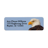 Mooie Bald Eagle Bird of Prey in Tree Etiket (Voorkant)