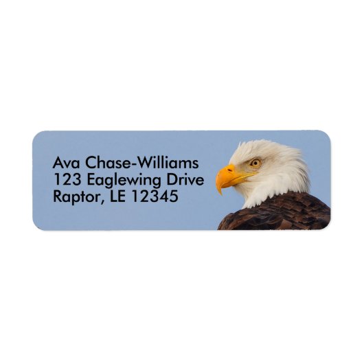 Mooie Bald Eagle Bird of Prey in Tree Etiket (Voorkant)