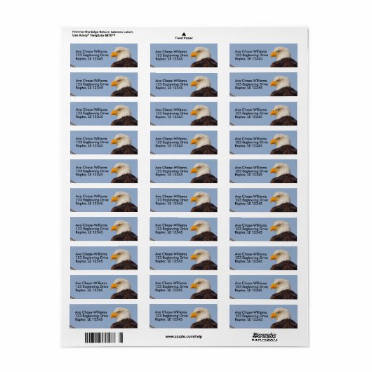 Mooie Bald Eagle Bird of Prey in Tree Etiket (Full Sheet)