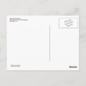 Mooie Bald Eagle... Briefkaart (Achterkant)