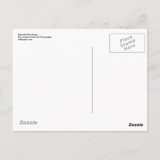 Mooie Bald Eagle... Briefkaart (Achterkant)