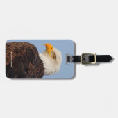 Mooie Bald Eagle in een boom Bagagelabel (Voorkant horizontaal)