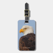 Mooie Bald Eagle in een boom Bagagelabel (Voorkant verticaal)