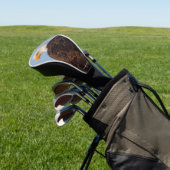Mooie Bald Eagle in een boom Golfheadcover (Insitu)