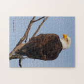 Mooie Bald Eagle in een boom Legpuzzel (Horizontaal)
