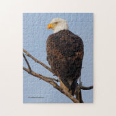 Mooie Bald Eagle in een boom Legpuzzel (Verticaal)