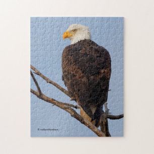 Mooie Bald Eagle in een boom Legpuzzel