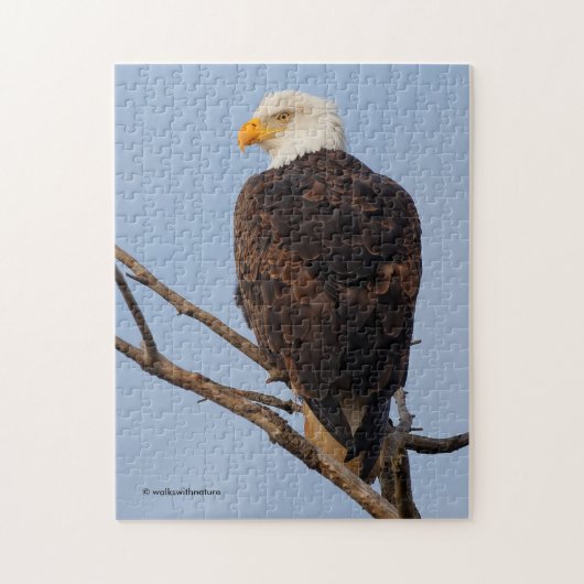 Mooie Bald Eagle in een boom Legpuzzel (Verticaal)