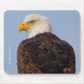 Mooie Bald Eagle in een boom Muismat (Voorkant)