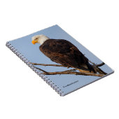 Mooie Bald Eagle in een boom Notitieboek (Rechterzijde)