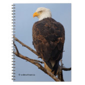 Mooie Bald Eagle in een boom Notitieboek (Voorkant)