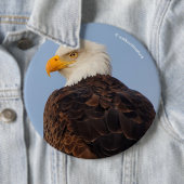 Mooie Bald Eagle in een boom Ronde Button 6,0 Cm (In situ)