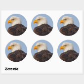 Mooie Bald Eagle in een boom Ronde Sticker (Vel)