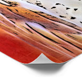 Mooie Barn Owl Bird met wit gezicht Poster (Hoek)