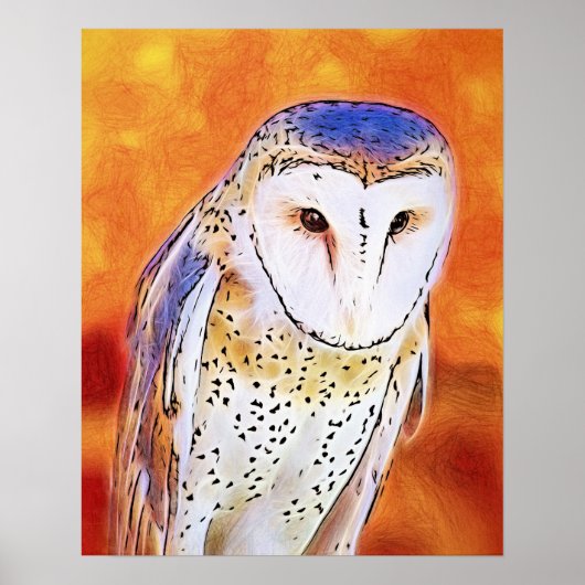 Mooie Barn Owl Bird met wit gezicht Poster (Voorkant)