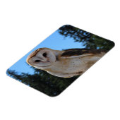 Mooie Barn Owl met Sky en groene bomen Foto Magneet (Linkerzijde)