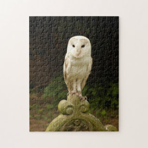Mooie Barn Owl Puzzle/Jigzaag Legpuzzel