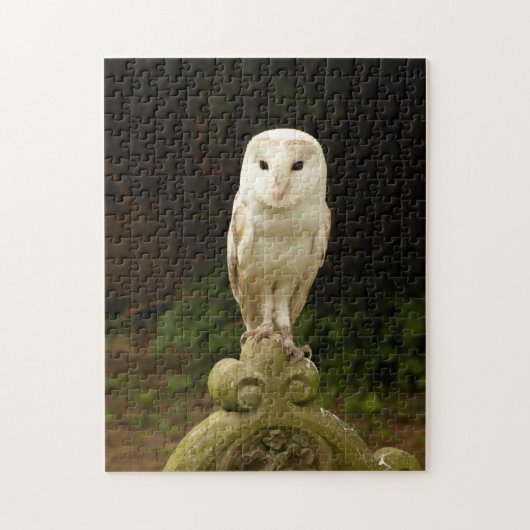 Mooie Barn Owl Puzzle/Jigzaag Legpuzzel (Verticaal)