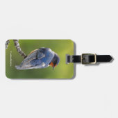 Mooie Barn Swallow op een Branch Bagagelabel (Voorkant horizontaal)