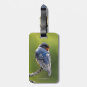 Mooie Barn Swallow op een Branch Bagagelabel (Achterkant verticaal)