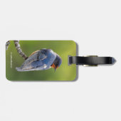 Mooie Barn Swallow op een Branch Bagagelabel (Achterkant horizontaal)
