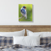 Mooie Barn Swallow op een Branch Canvas Afdruk (Insitu (Slaapkamer))
