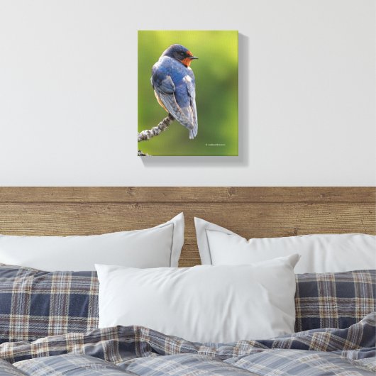 Mooie Barn Swallow op een Branch Canvas Afdruk (Insitu (Slaapkamer))