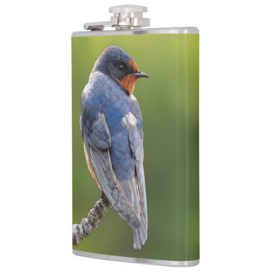 Mooie Barn Swallow op een Branch Heupfles (Links)