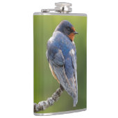 Mooie Barn Swallow op een Branch Heupfles (Rechts)