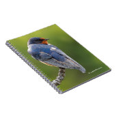 Mooie Barn Swallow op een Branch Notitieboek (Rechterzijde)