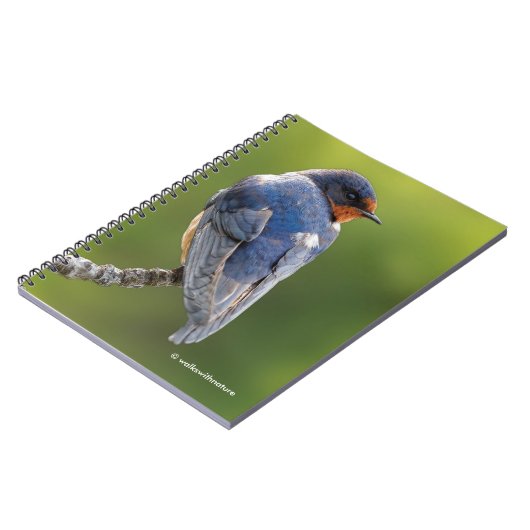 Mooie Barn Swallow op een Branch Notitieboek (Linkerzijde)