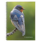 Mooie Barn Swallow op een Branch Notitieboek (Voorkant)