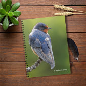 Mooie Barn Swallow op een Branch Notitieboek