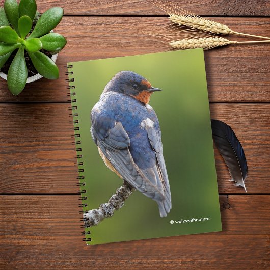Mooie Barn Swallow op een Branch Notitieboek