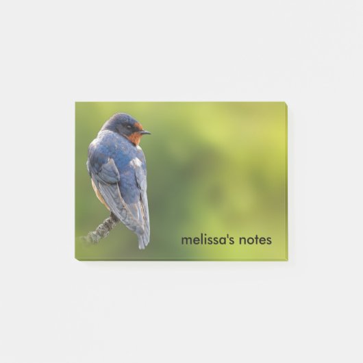 Mooie Barn Swallow op een Branch Post-it® Notes (Voorkant)