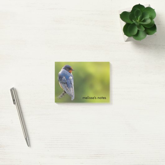 Mooie Barn Swallow op een Branch Post-it® Notes (Kantoor)