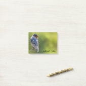 Mooie Barn Swallow op een Branch Post-it® Notes (Op bureau)