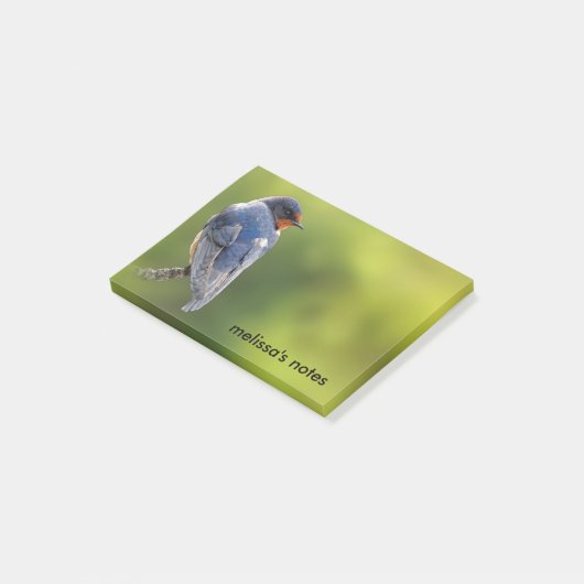 Mooie Barn Swallow op een Branch Post-it® Notes (Schuin)